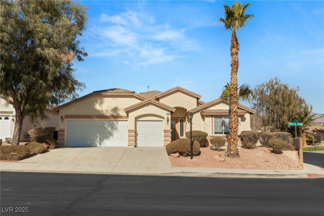 8080 Black Orchid Avenue