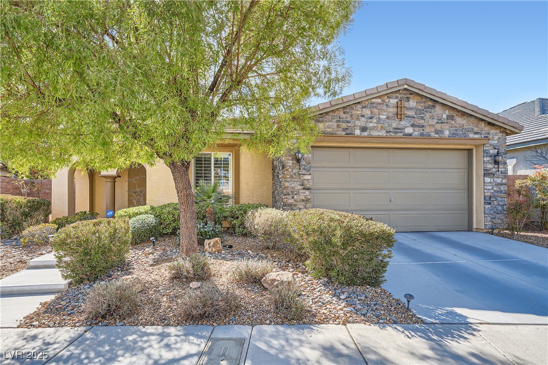 11165 Robin Park Avenue