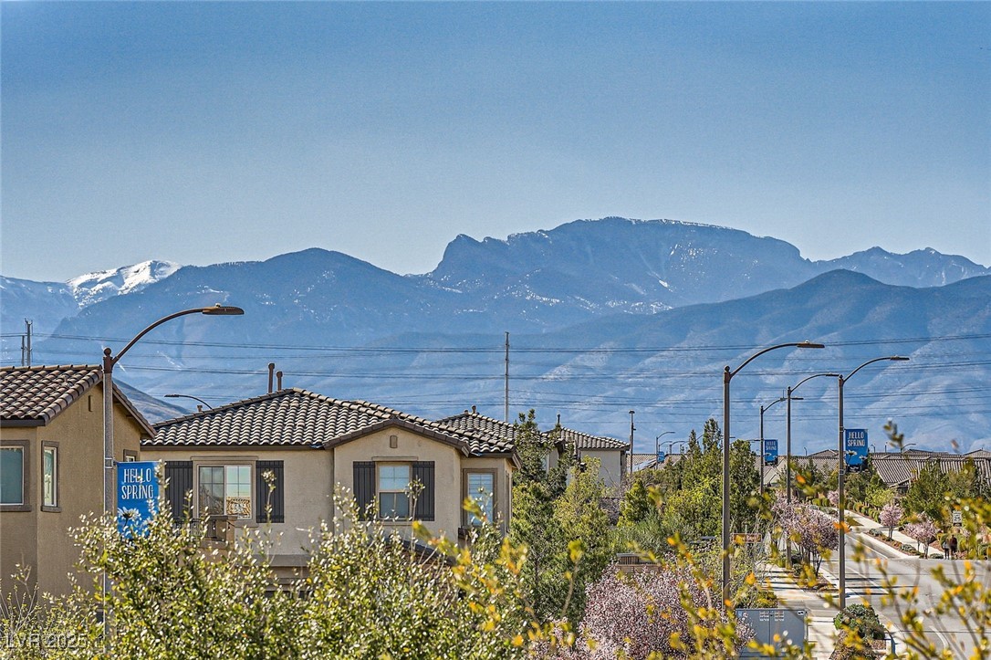 10173 Skye Saddle Avenue