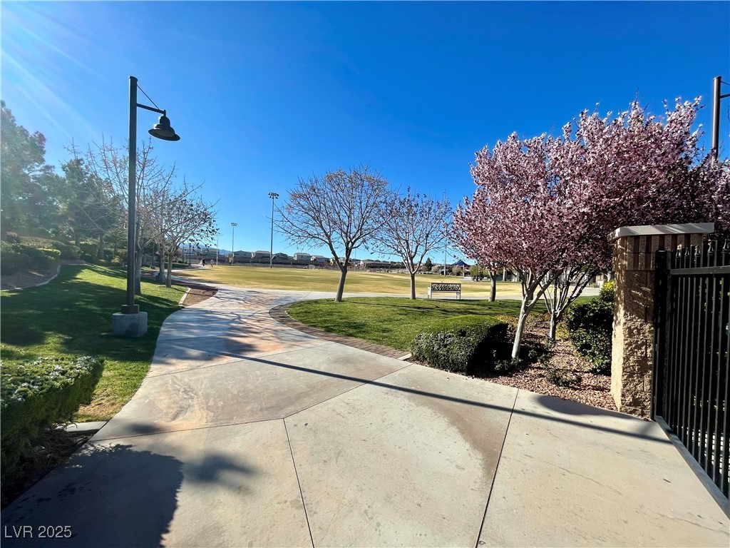 10173 Skye Saddle Avenue