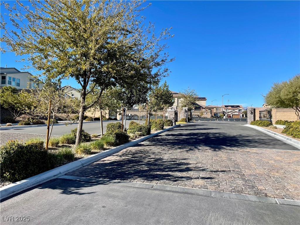 10173 Skye Saddle Avenue