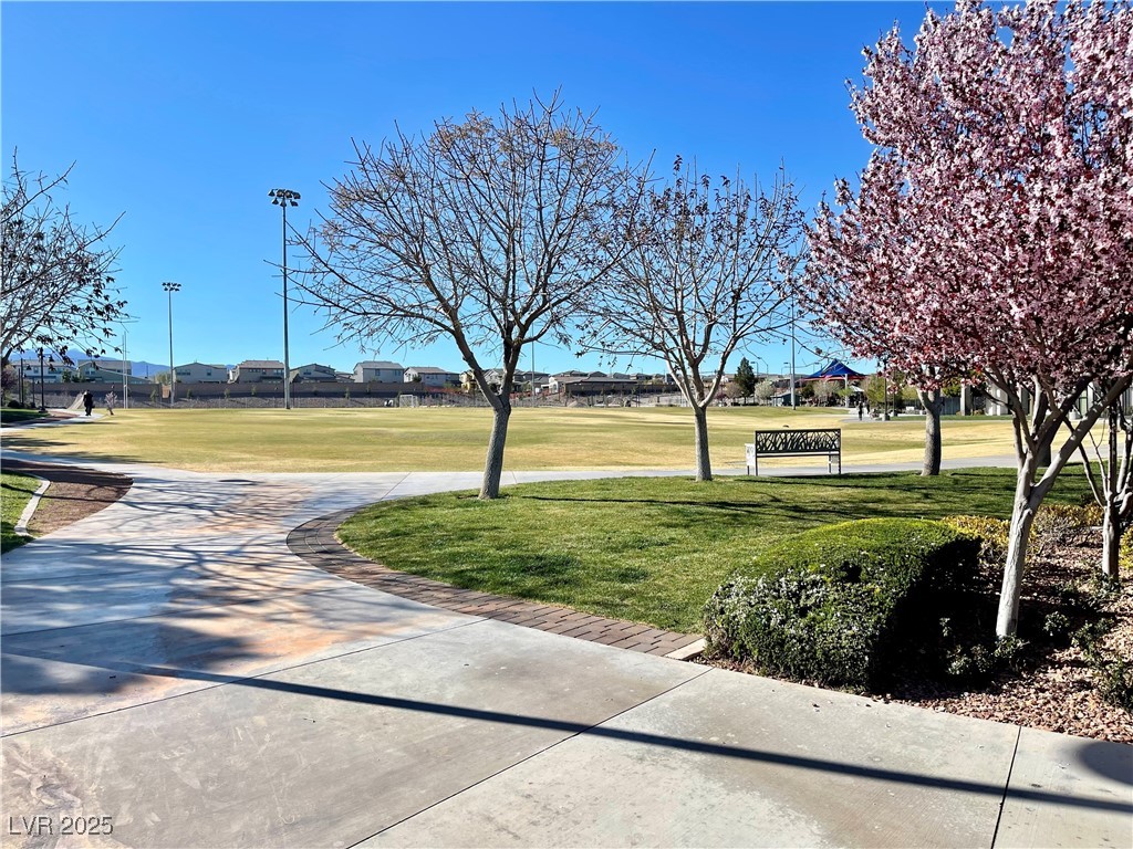 10173 Skye Saddle Avenue