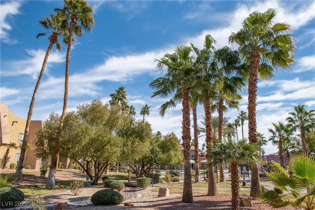 4941 River Glen Drive 4