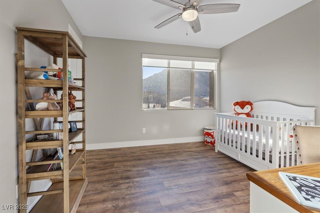 3000 Raywood Ash Drive