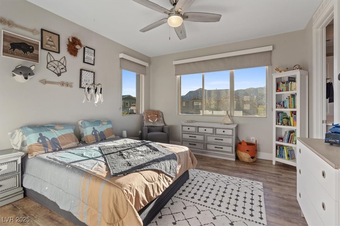 3000 Raywood Ash Drive