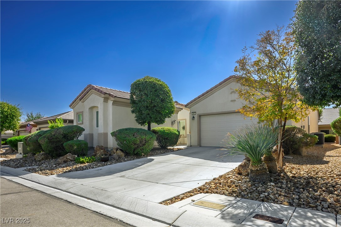 2417 Rock Pigeon Avenue