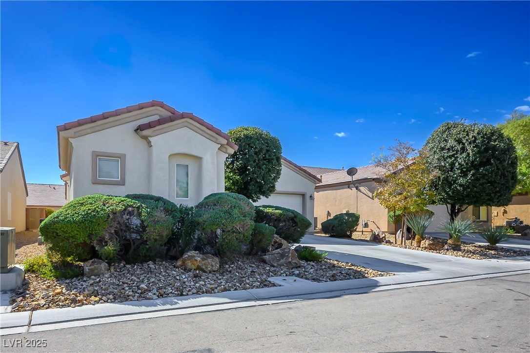 2417 Rock Pigeon Avenue