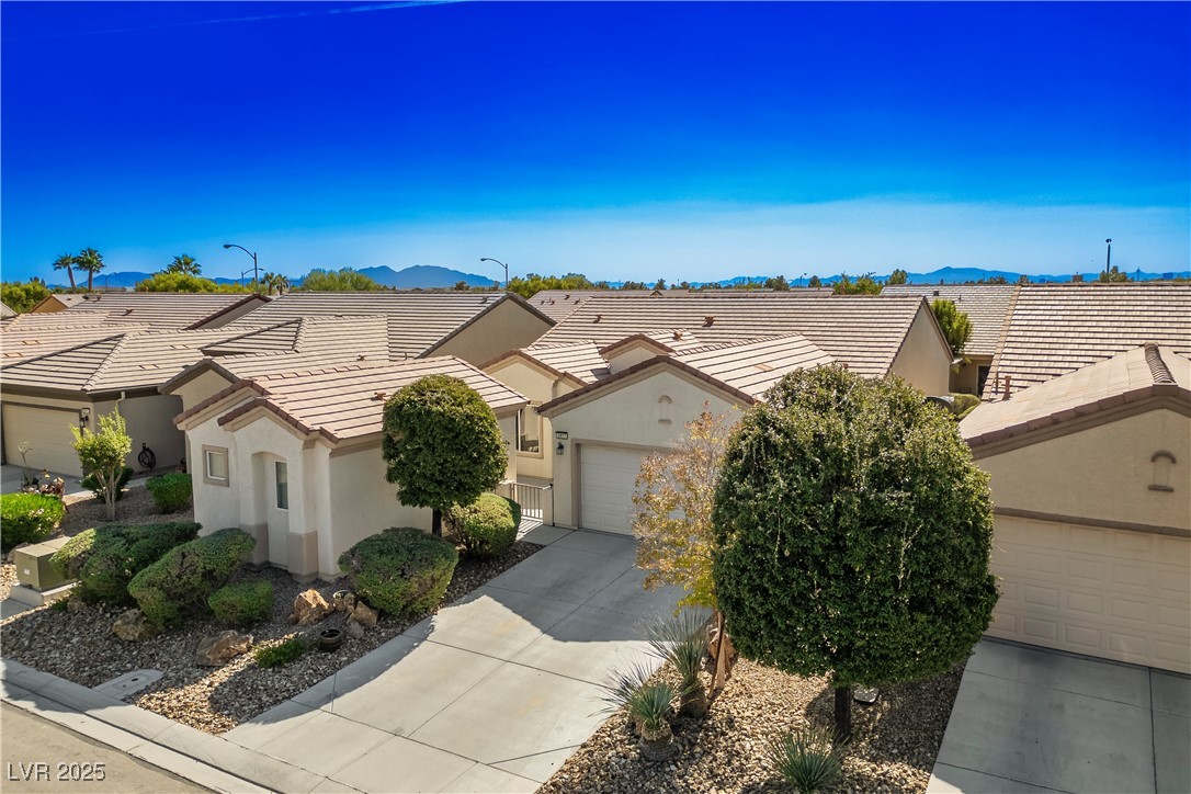 2417 Rock Pigeon Avenue