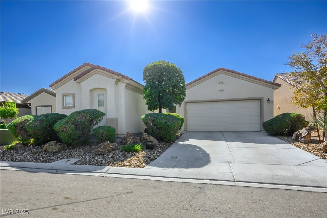 2417 Rock Pigeon Avenue
