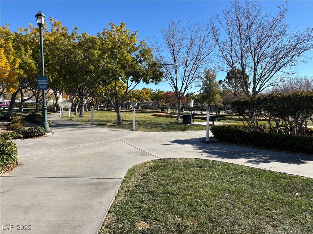 10386 Starthistle Lane