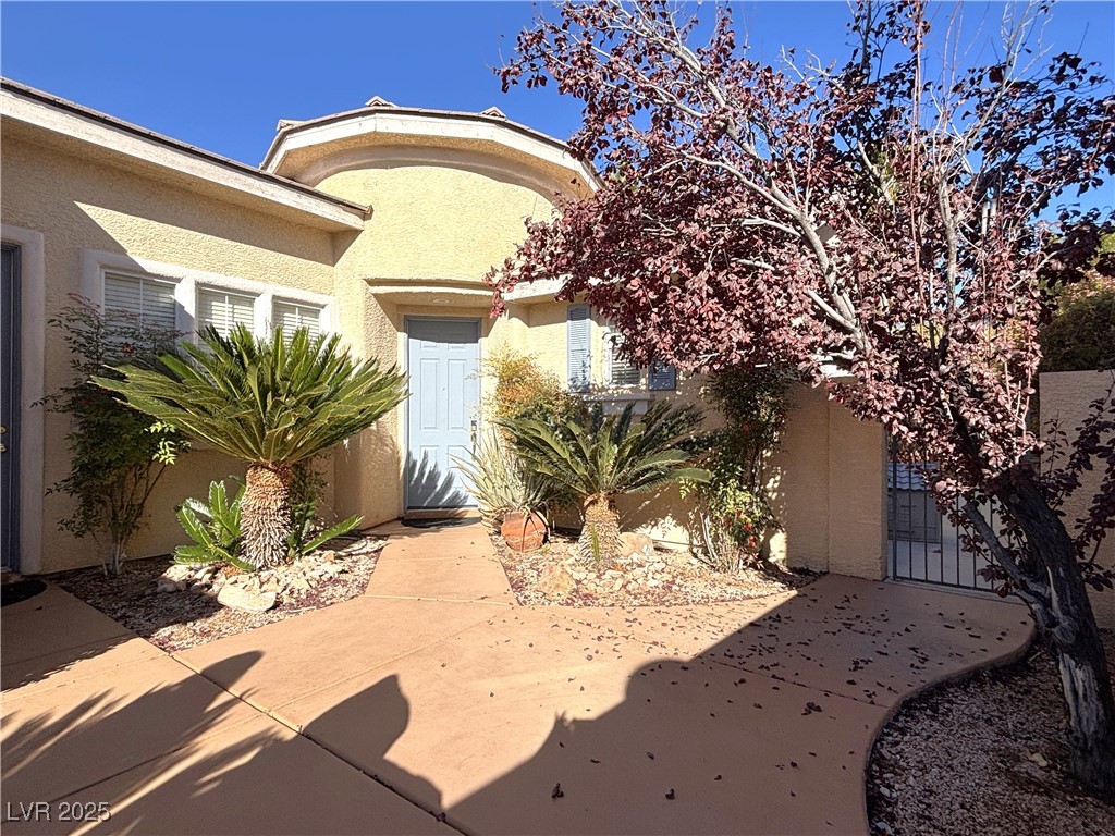 10386 Starthistle Lane