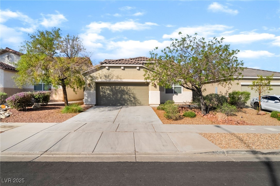 925 Crescent Falls Street