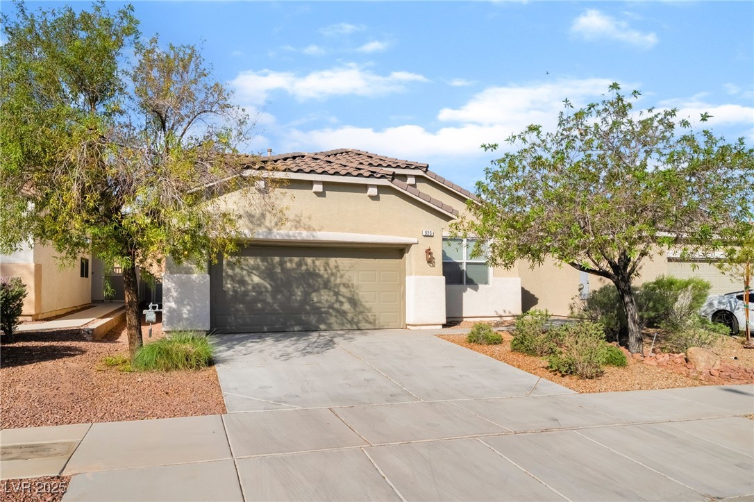 925 Crescent Falls Street