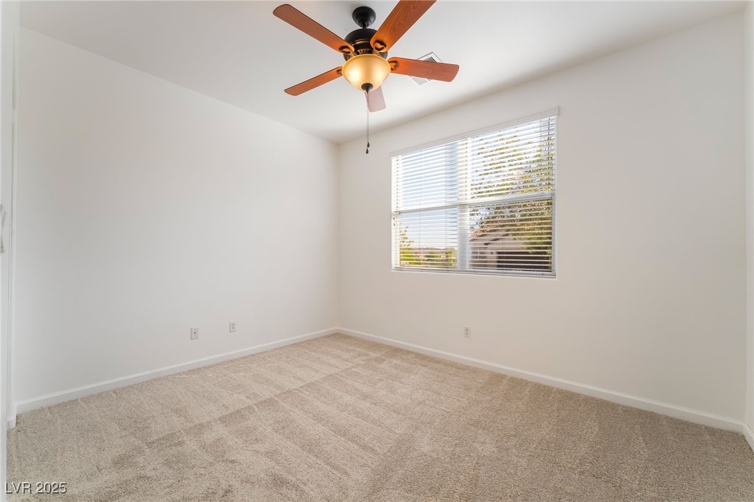 925 Crescent Falls Street