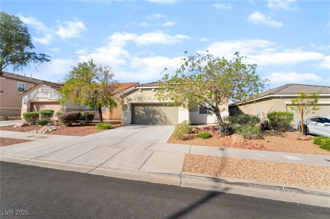 925 Crescent Falls Street