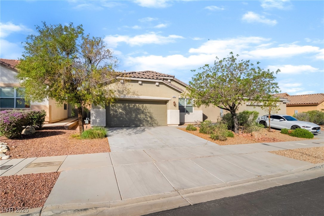 925 Crescent Falls Street