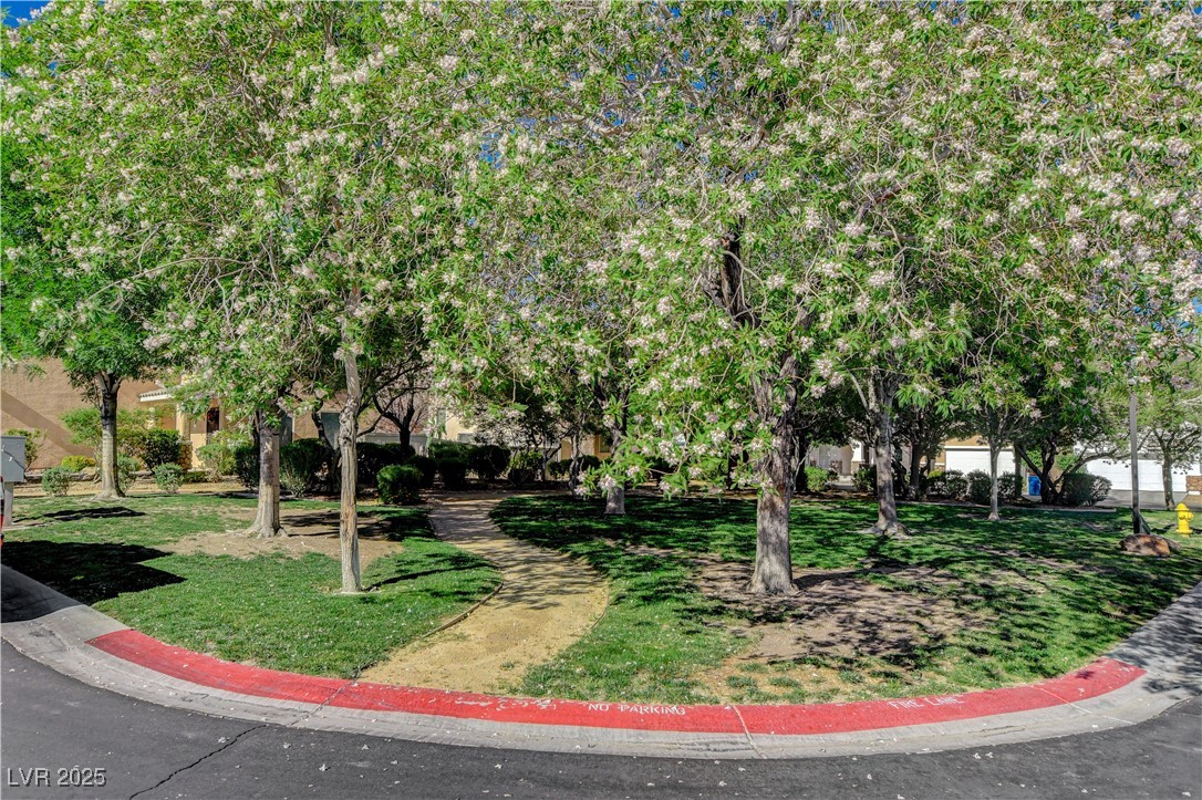 9931 Cherry Melee Avenue