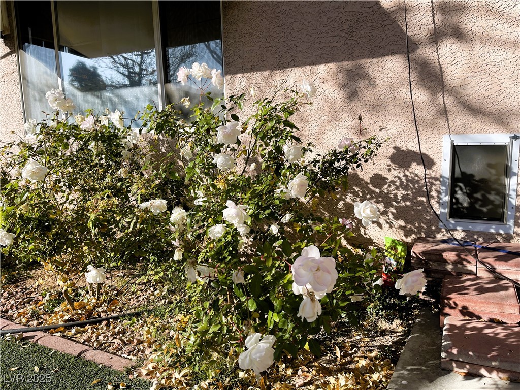 10031 Candle Canyon Court