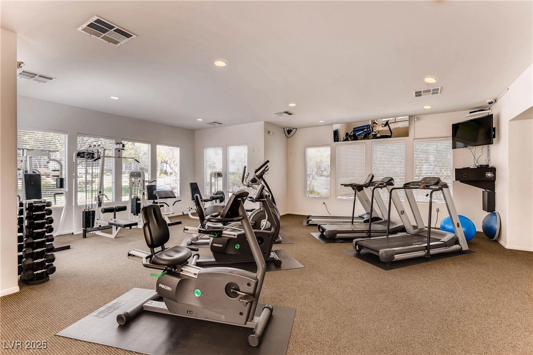 10809 Garden Mist Drive 1042