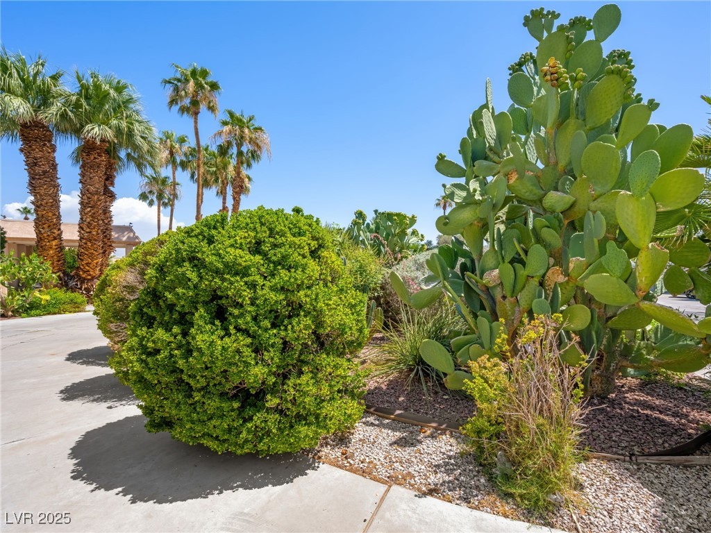 1408 Maria Elena Drive