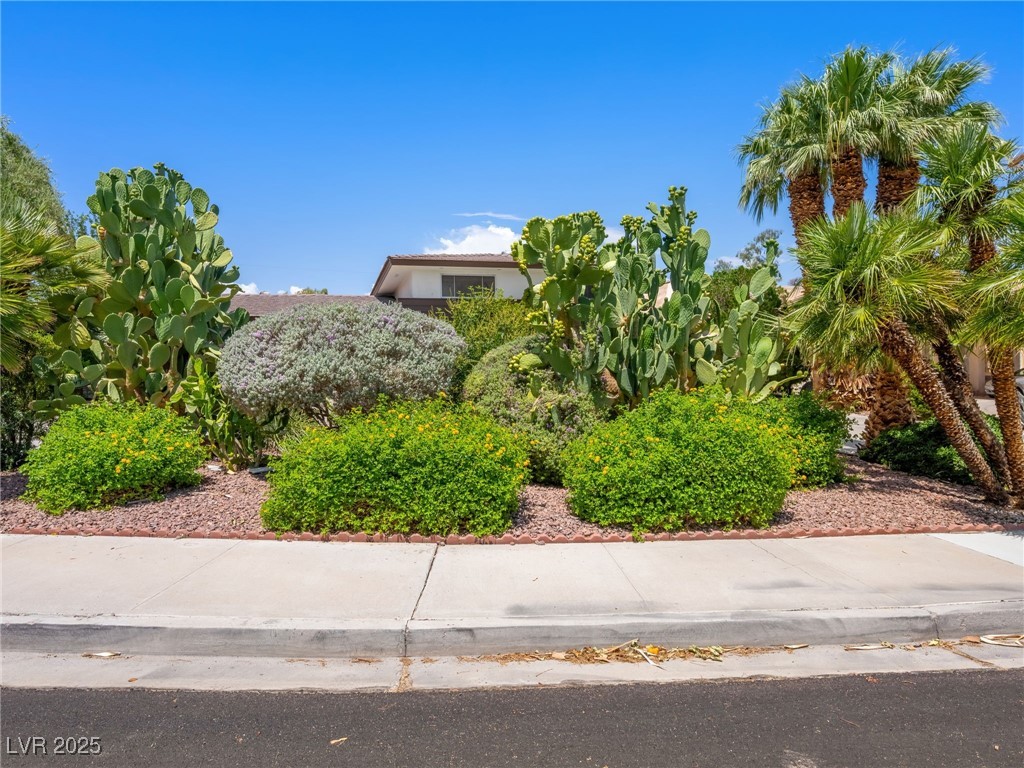 1408 Maria Elena Drive