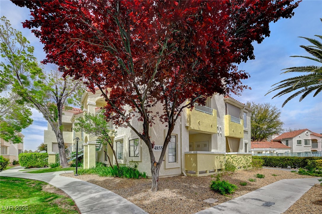 4855 South Torrey Pines Drive 101