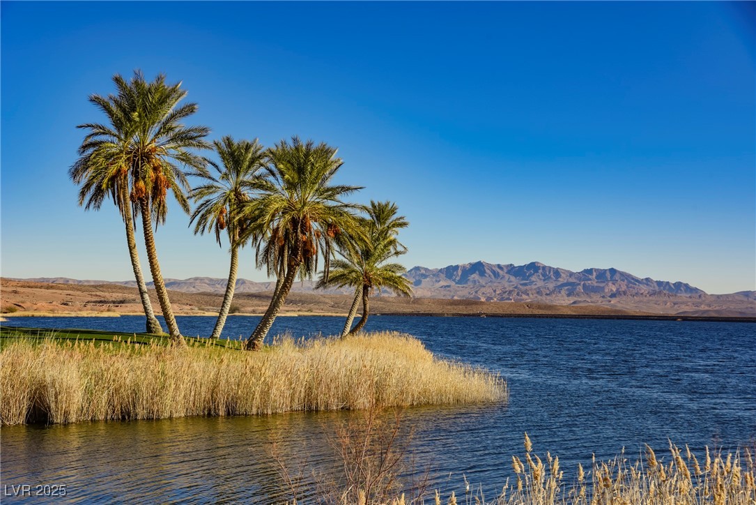 20 Falling Canyon Court