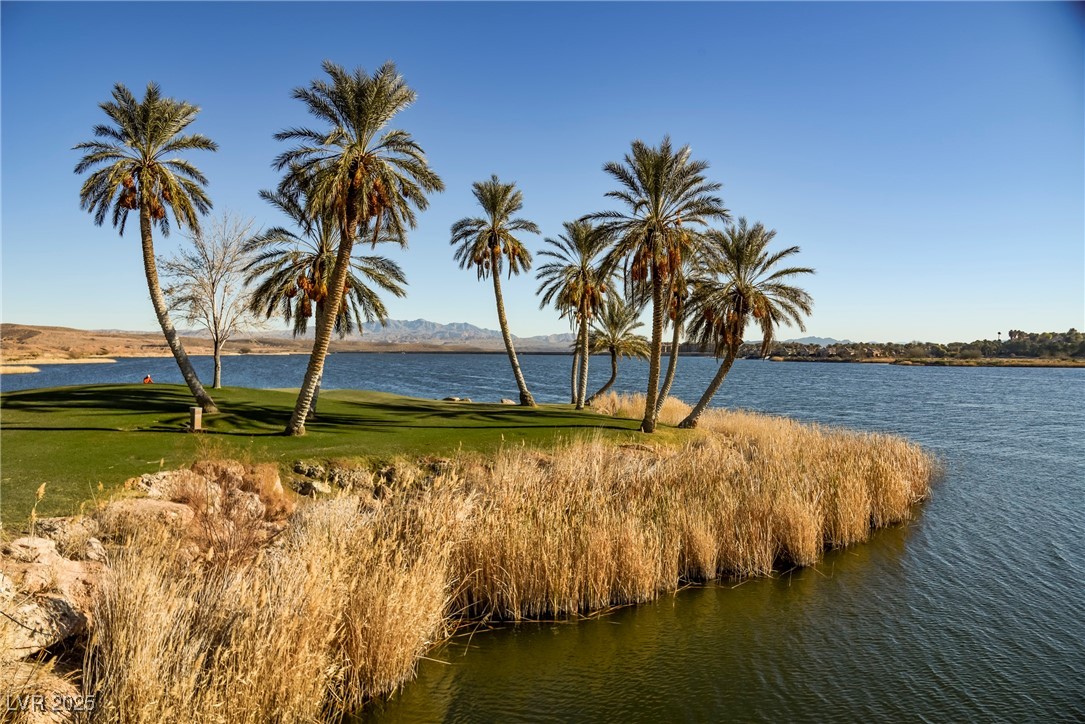 20 Falling Canyon Court