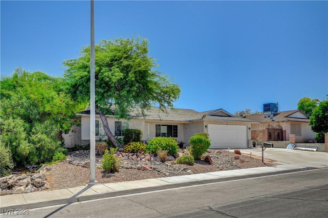 4363 El Cebra Way
