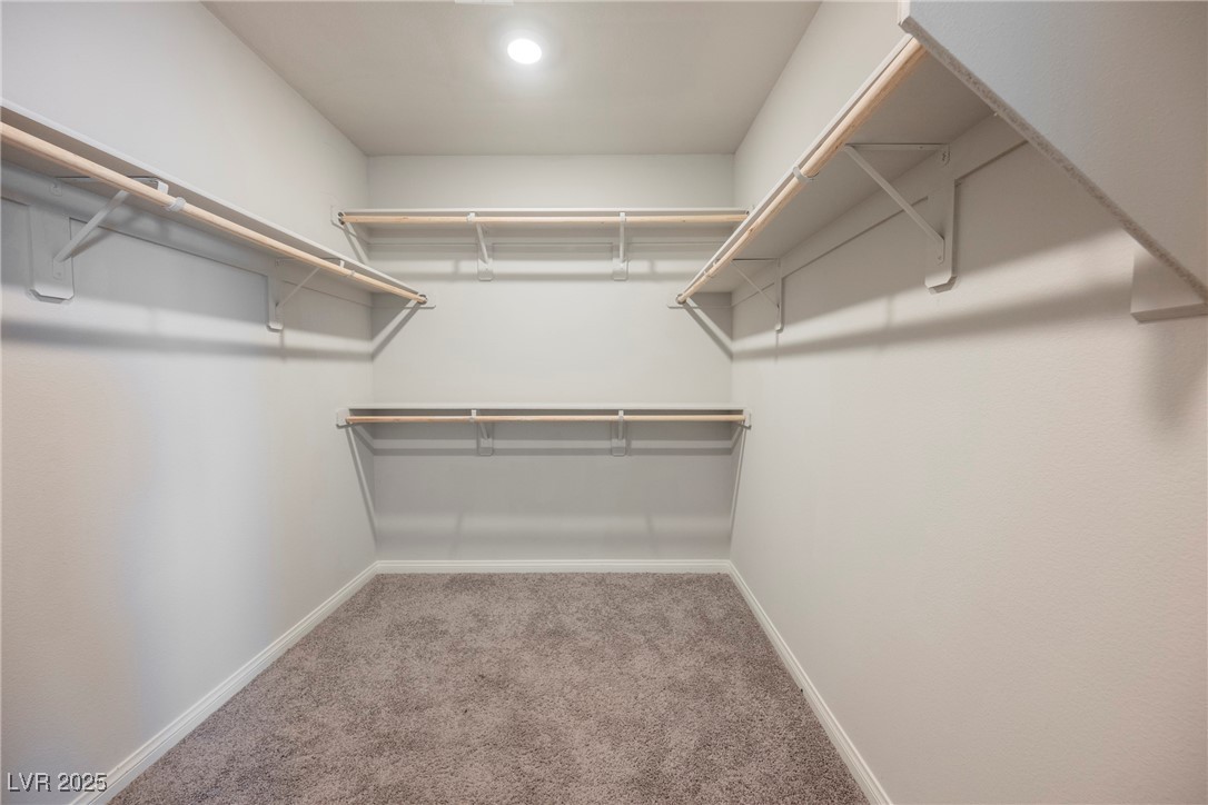 8278 Palladium Street