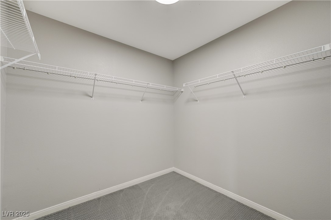 2110 Waterlily View Street