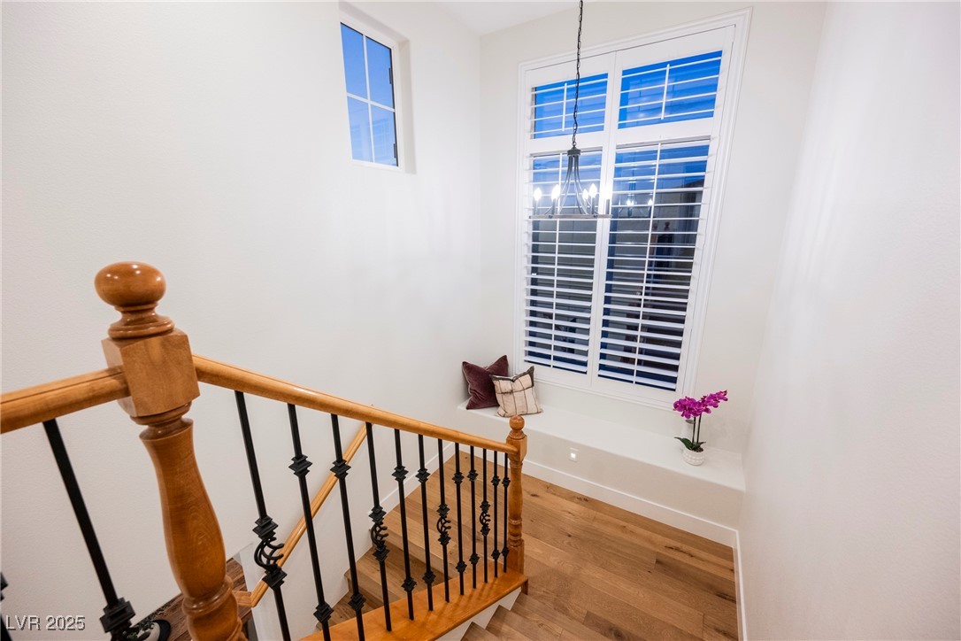 10038 Peak Lookout Street