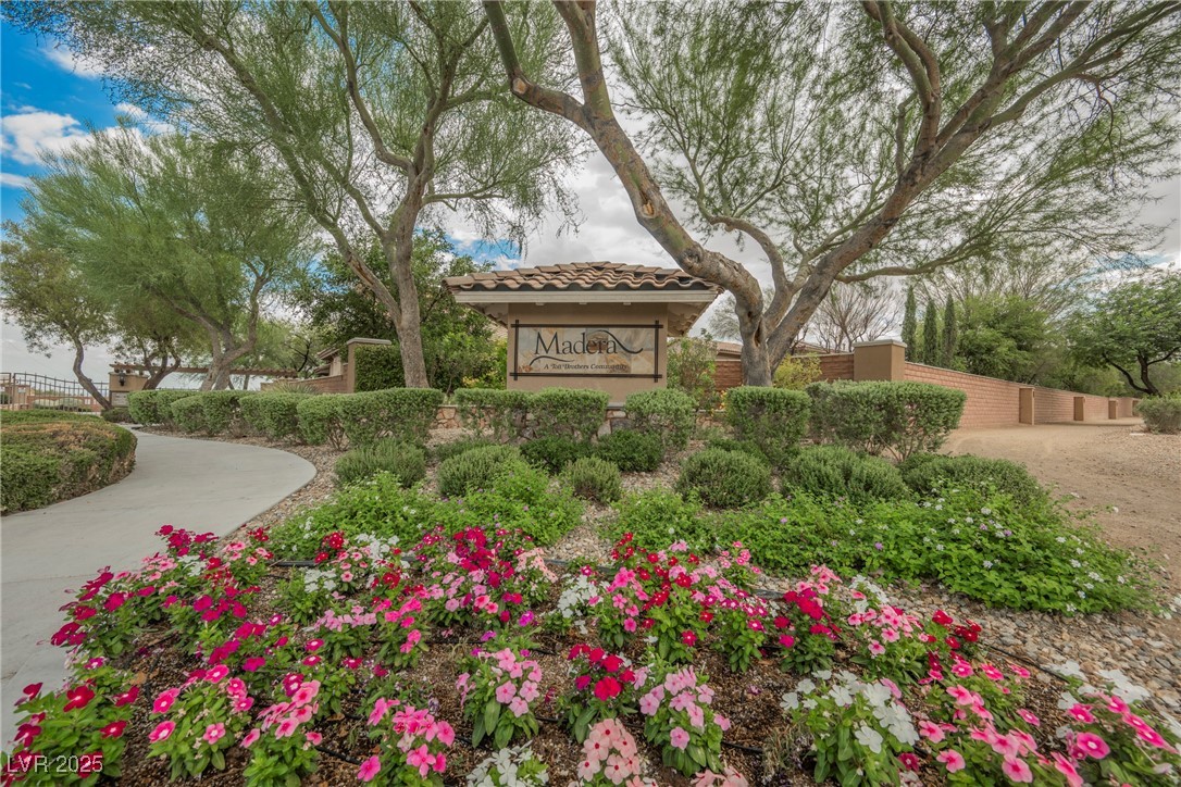 10038 Peak Lookout Street