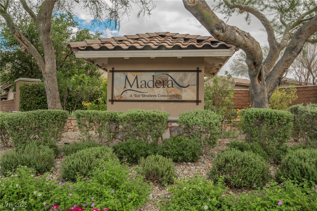 10038 Peak Lookout Street