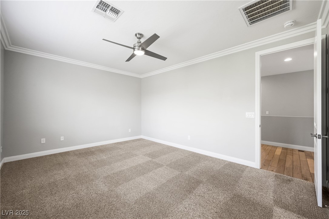 43 Berneri Drive
