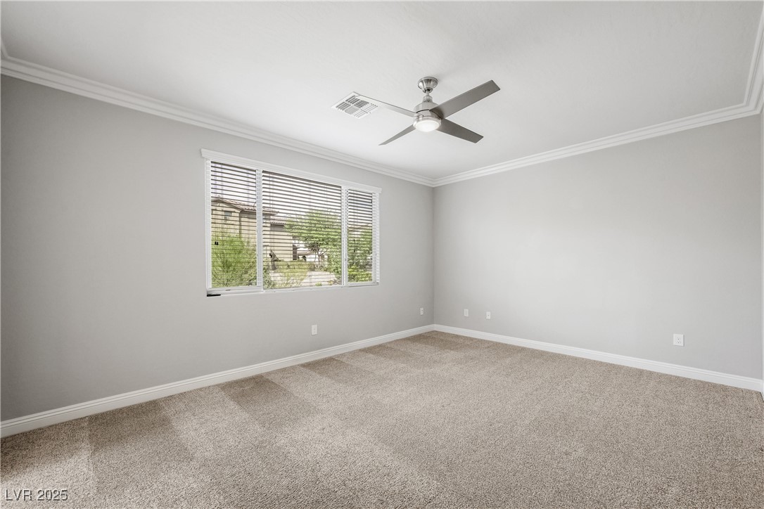 43 Berneri Drive