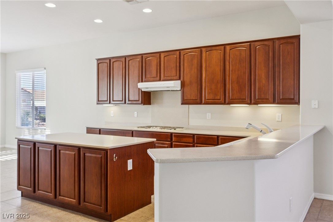 2156 Twin Falls Drive