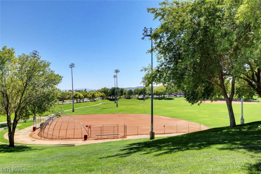 2828 Cottoneaster Street