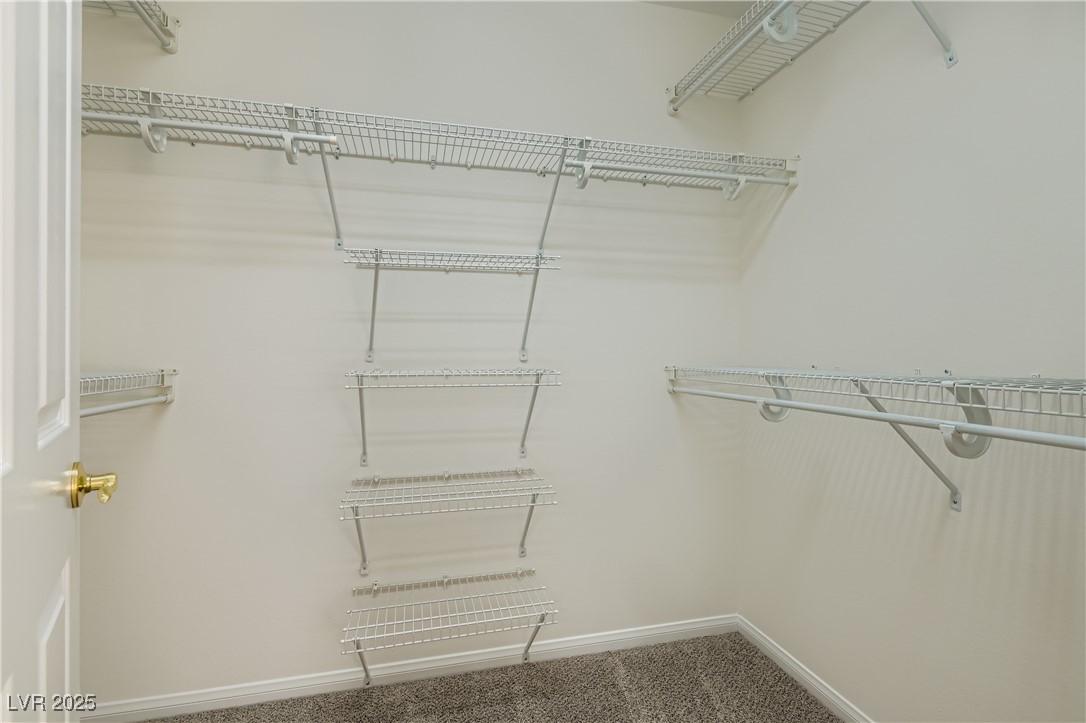 10802 Serendipity Court