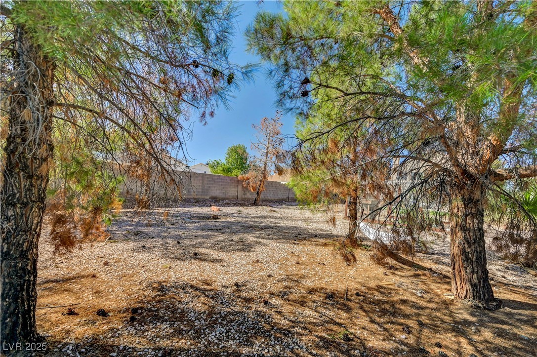 616 Lively Fiesta Way