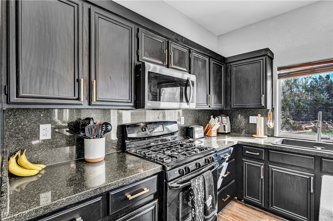 616 Lively Fiesta Way