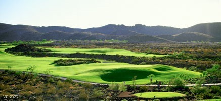 1224 Starview Peak Court