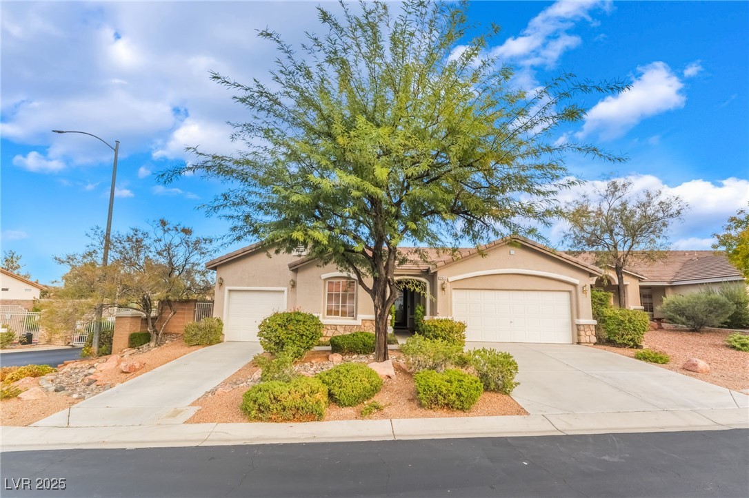 3512 Natural View Street