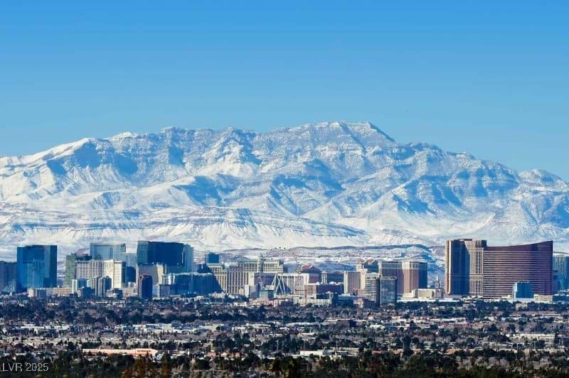 664 Foam Flower Lane