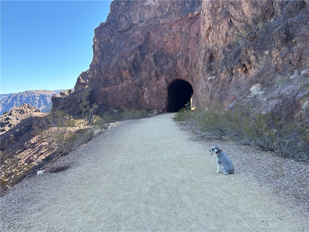 664 Foam Flower Lane