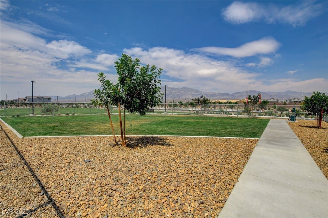 1029 Mineral Wells Avenue