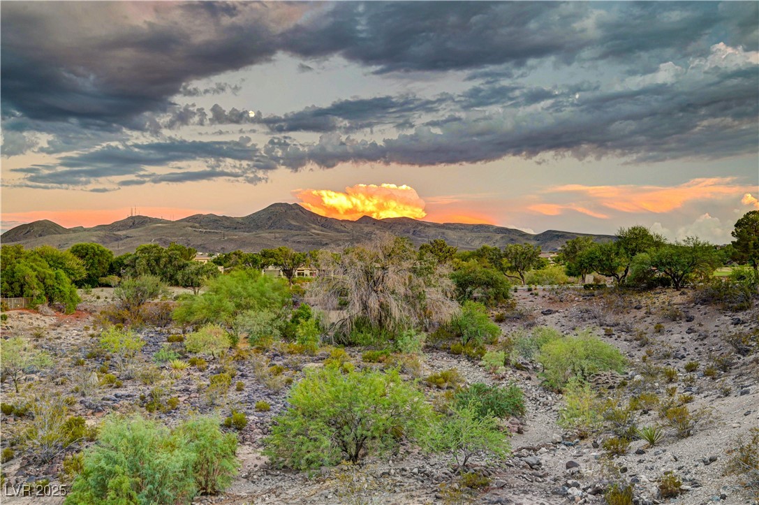 105 Fountainhead Circle