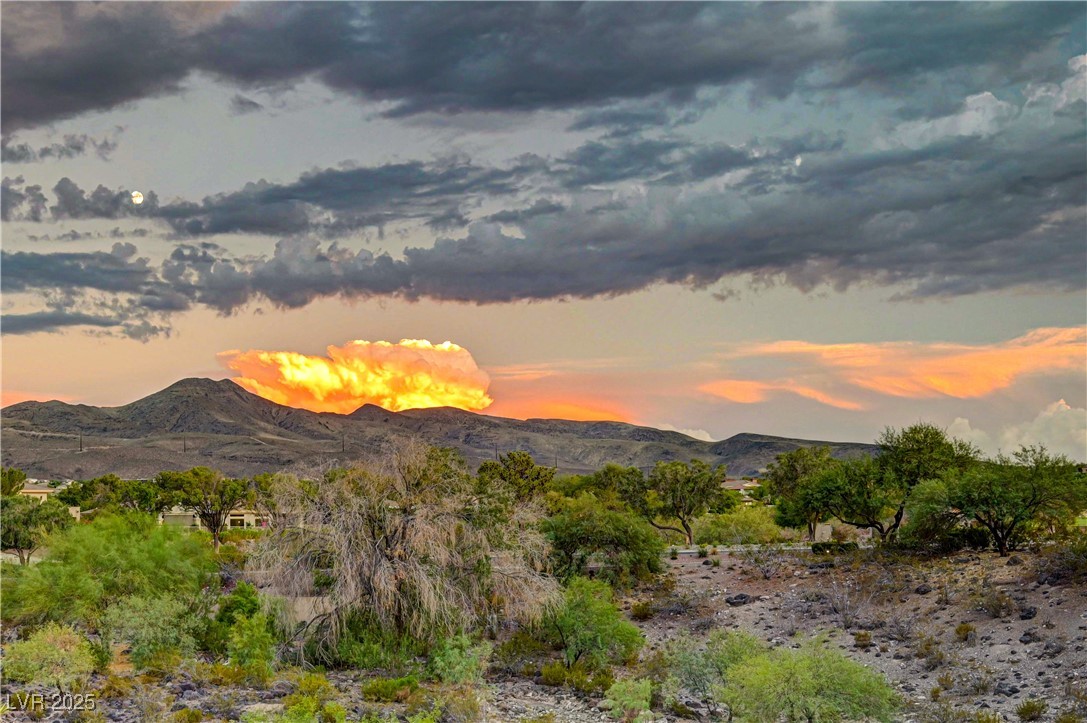 105 Fountainhead Circle