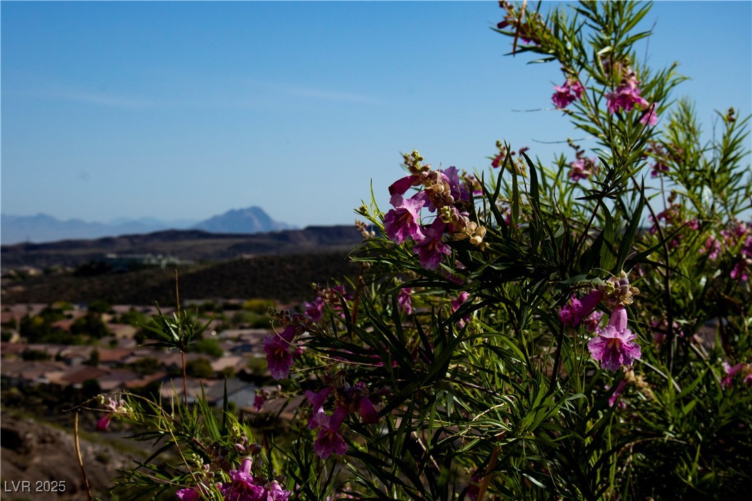 1596 Fieldbrook Street