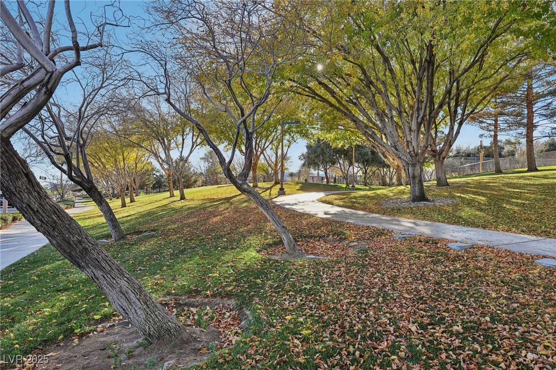 11037 Linden Leaf Avenue